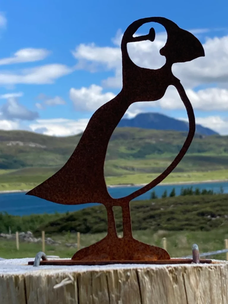 A silhouette toy of a special kind of bird in Choraidh Croft