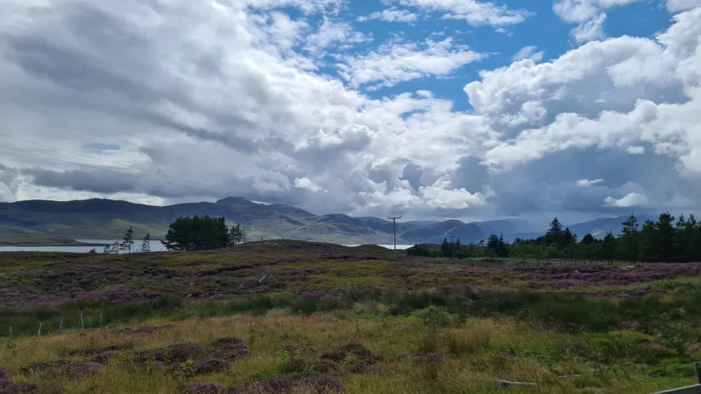 Landscape with mountains behind